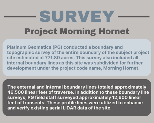 Project Morning Hornet (1st)